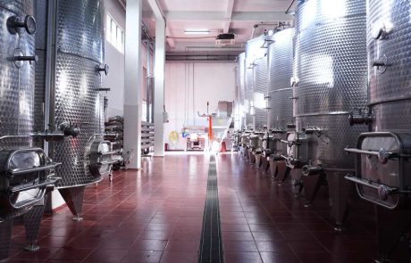 ISOLA WINE Gallery