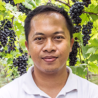 A.A. Putra Sumarshana Willys